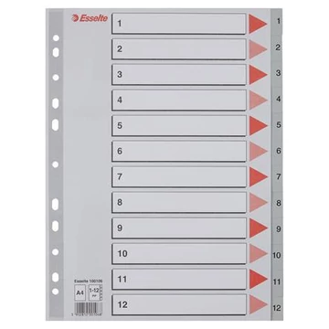 Regiszter, műanyag, A4, 1-12, ESSELTE, szürke