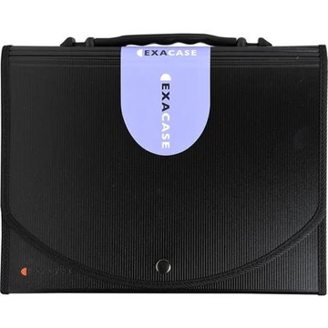 Harmonikamappa, A4, PP, 13 rekeszes, EXACOMPTA "Exactive®", fekete Harmonikamappa, A4, PP, 13 rekeszes, EXACOMPTA "Exactive®", fekete