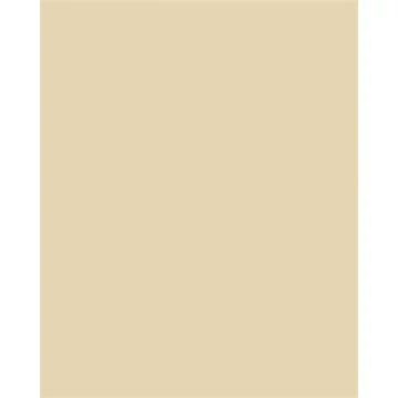 Dekorkarton, 2 oldalas, 50x70cm, 220 g, 10 lap, FOLIA, bézs