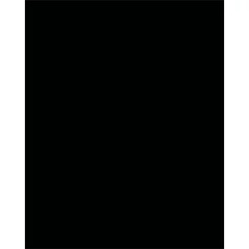 Dekorkarton, 2 oldalas, 50x70cm, 220 g, 10 lap, FOLIA, fekete
