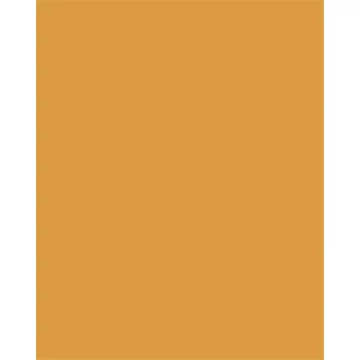 Dekorkarton, 2 oldalas, A4, 220 g, 100 lap, FOLIA, ochre