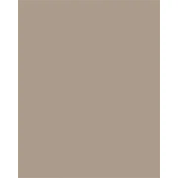 Színes papír, A3, 130 g, 50 lap, FOLIA, cappuccino