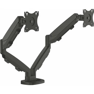 Monitortartó kar két monitorhoz, FELLOWES "Eppa™ "Dual", fekete