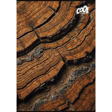 Füzet, tűzött, A4, kockás, 80 lap, COOL BY VICTORIA "Wood & Rock"