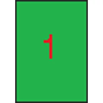 Etikett, 210x297 mm, színes, APLI, neon zöld, 100 etikett/csomag
