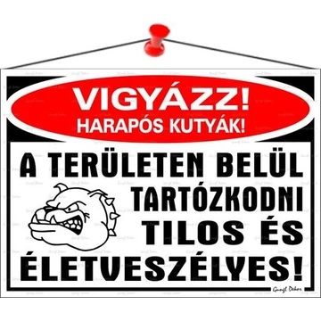 Információs tábla, 35x25 cm, "Vigyázz harapós kutyák!"