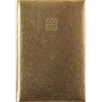 Naptár, tervező, A5, heti, DAYLINER, "Mirror", arany