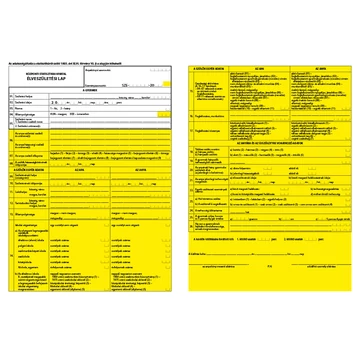 Jegyzőkönyv születési bejelentésről 2 lapos garnitúra A/3 fekvő Jegyzőkönyv születési bejelentésről 2 lapos garnitúra A/3 fekvő