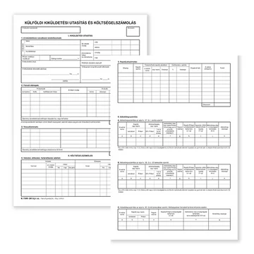 Külföldi kiküldetési utasítás és költségelszámolás szabadlap A/4 álló Külföldi kiküldetési utasítás és költségelszámolás szabadlap A/4 álló