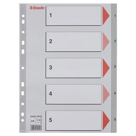 Regiszter, műanyag, A4, 1-5, ESSELTE, szürke