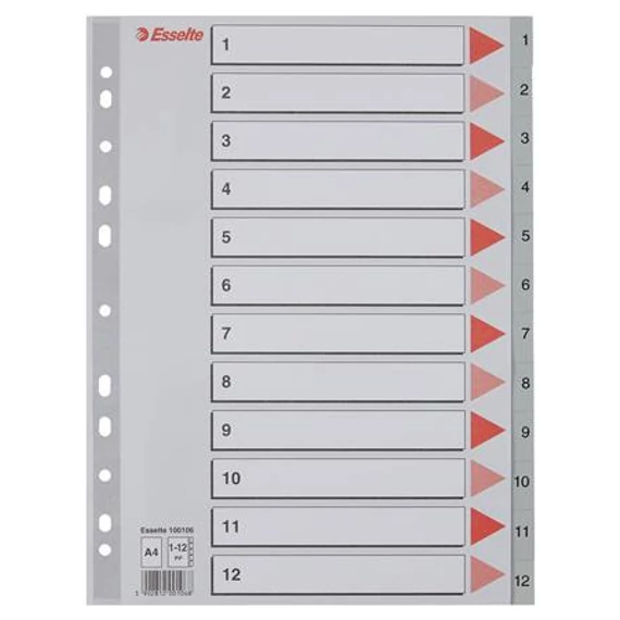 Regiszter, műanyag, A4, 1-12, ESSELTE, szürke