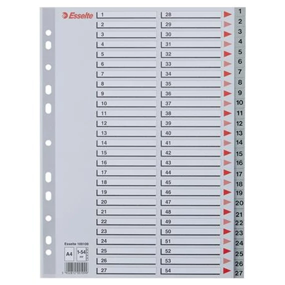 Regiszter, műanyag, A4, 1-54, ESSELTE, szürke
