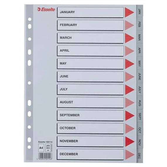 Regiszter, műanyag, A4, Jan-Dec, ESSELTE, szürke
