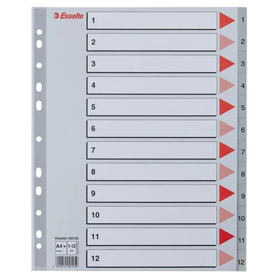 Regiszter, műanyag, A4 Maxi, 1-12, ESSELTE, szürke