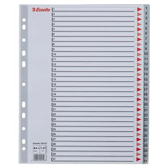 Regiszter, műanyag, A4 Maxi, 1-31, ESSELTE, szürke