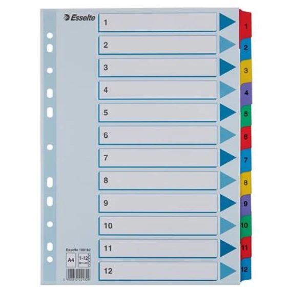 Regiszter, karton, A4, 1-12, ESSELTE "Mylar"