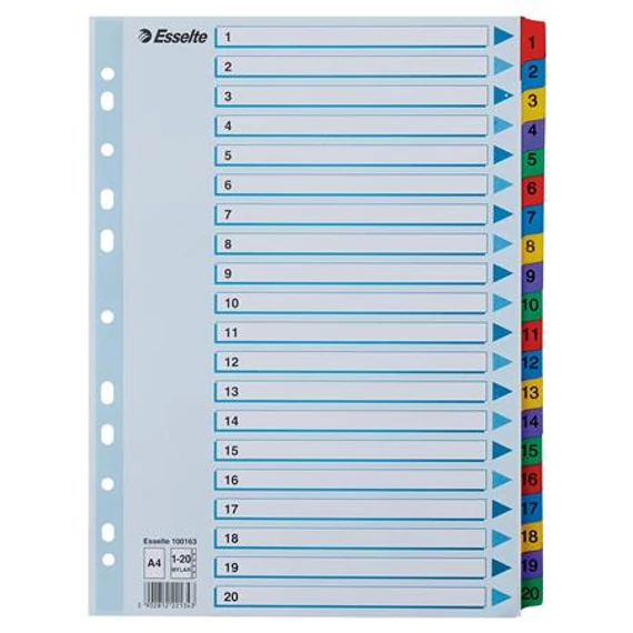 Regiszter, karton, A4, 1-20, ESSELTE "Mylar"