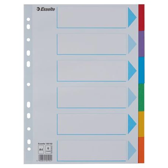Regiszter, karton, A4, 6 részes, írható előlappal, ESSELTE "Standard", színes