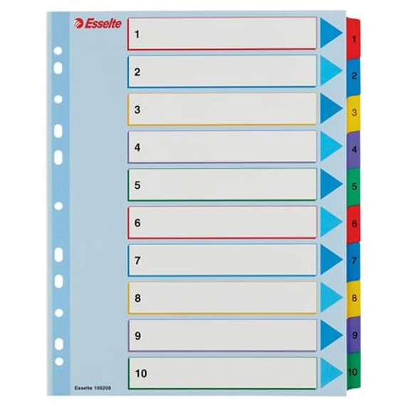 Regiszter, laminált karton, A4 Maxi, 1-10, újraírható, ESSELTE