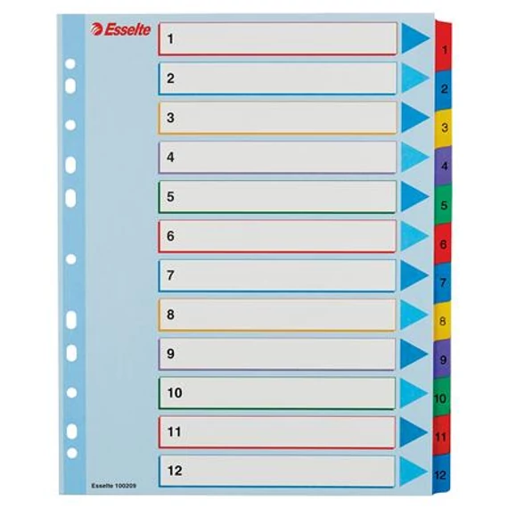 Regiszter, laminált karton, A4 Maxi, 1-12, újraírható, ESSELTE