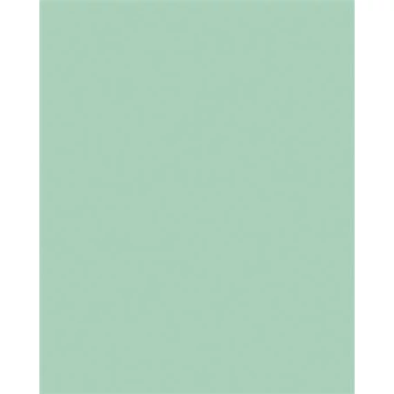 Dekorkarton, 2 oldalas, 50x70cm, 220 g, 10 lap, FOLIA, menta