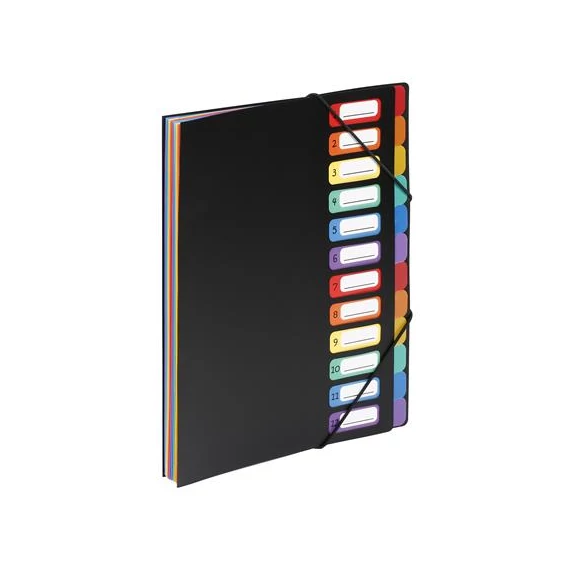 Irattartó mappa, gumis, 12 részes, VIQUEL "Rainbow Class", fekete