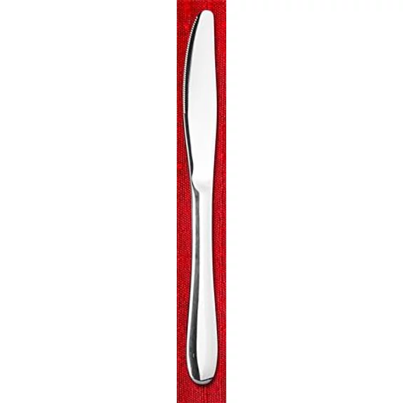 Kés, rozsdamentes acél, 22cm, 12db-os szett, "Palermo"