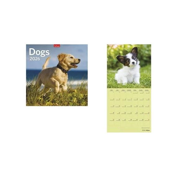 Naptár, fali, TOPTIMER, "Dogs"