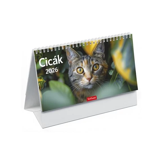 Naptár, asztali, álló, TOPTIMER, "Cicák"