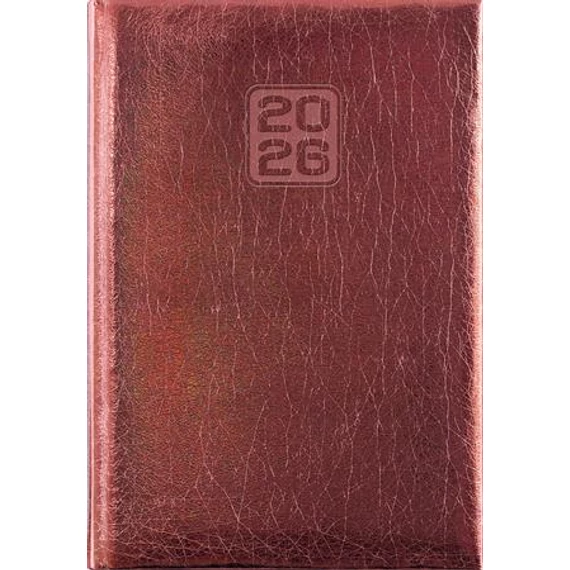 Naptár, tervező, A5, napi, DAYLINER, "Mirror", bronz