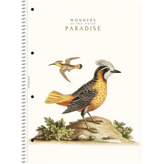 Spirálfüzet, A4, vonalas, 80 lap, SHOLYARYK "College Block Wonders", vegyes Spirálfüzet, A4, vonalas, 80 lap, SHOLYARYK "College Block Wonders", vegyes