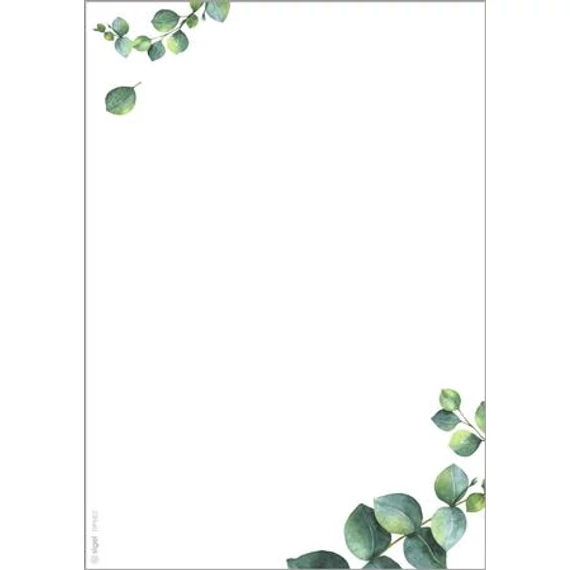 Előnyomott papír, kétoldalas, A5, 90 g. SIGEL "Eucalyptus" Előnyomott papír, kétoldalas, A5, 90 g. SIGEL "Eucalyptus"