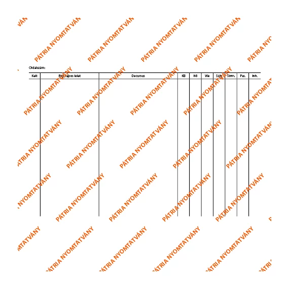 Decursus lap 203x140 mm Decursus lap 203x140 mm