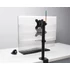 Kép 2/4 - Monitortartó kar, egy monitorhoz, KENSINGTON, "SmartFit® Ergo"