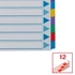 Kép 5/6 - Regiszter, laminált karton, A4, 12 részes, ESSELTE "Mylar"
