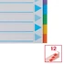 Kép 5/6 - Regiszter, karton, A4, 12 részes, írható előlappal, ESSELTE "Standard", színes