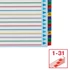 Kép 5/7 - Regiszter, laminált karton, A4 Maxi, 1-31, újraírható, ESSELTE