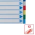 Kép 6/7 - Regiszter, műanyag, A4, 12 részes, ESSELTE