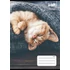 Kép 2/2 - Füzet, tűzött, A5, kockás, 32 lap, COOL BY VICTORIA, "Cats", 27-32