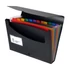 Kép 1/2 - Harmonikamappa, PP, 12 rekeszes, VIQUEL "Rainbow Class", fekete