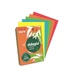 Kép 2/2 - Másolópapír, színes, A4, 80 g, 5x100 lap, REY "Adagio", intenzív mix