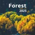 Kép 1/5 - Naptár, fali, DAYLINER, "Forest"