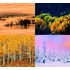 Kép 5/5 - Naptár, fali, DAYLINER, "Forest"