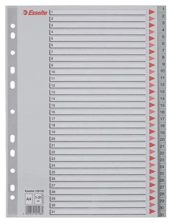 Regiszter, műanyag, A4, 1-31, ESSELTE, szürke