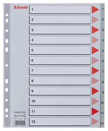 Regiszter, műanyag, A4 Maxi, 1-12, ESSELTE, szürke