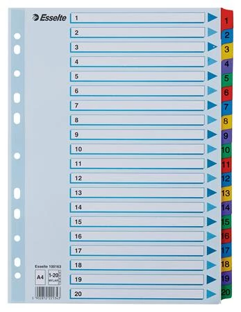 Regiszter, karton, A4, 1-20, ESSELTE 