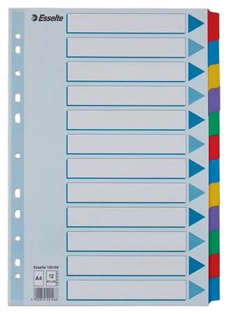 Regiszter, laminált karton, A4, 12 részes, ESSELTE 