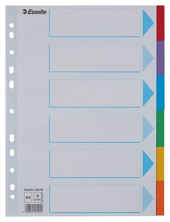 Regiszter, karton, A4, 6 részes, írható előlappal, ESSELTE 
