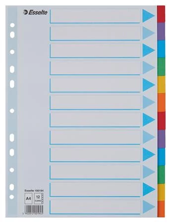 Regiszter, karton, A4, 12 részes, írható előlappal, ESSELTE 