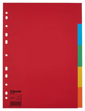 Regiszter, karton, A4, 5 részes, ESSELTE 